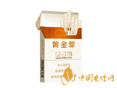 黃金葉(天葉中支)