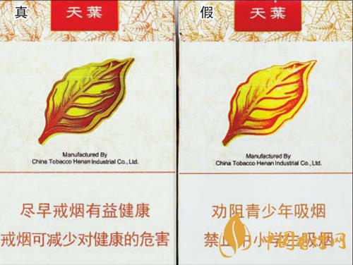 黃金葉天葉怎么區分  黃金葉天葉最新區分方法