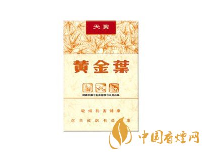 黃金葉(天葉短支)