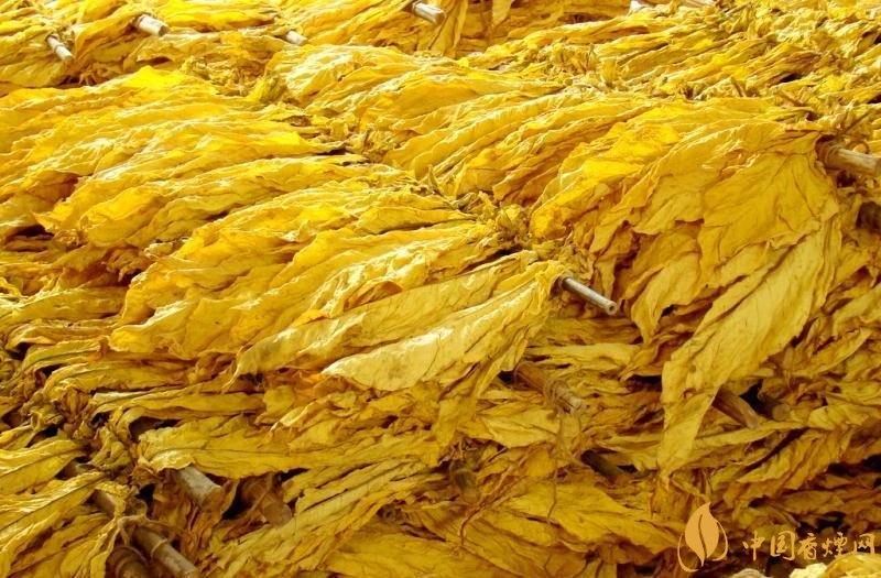 有機(jī)煙葉是什么,有機(jī)煙葉和普通煙葉的區(qū)別