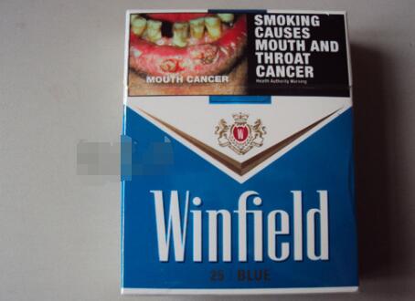 溫菲爾德(藍)圖片